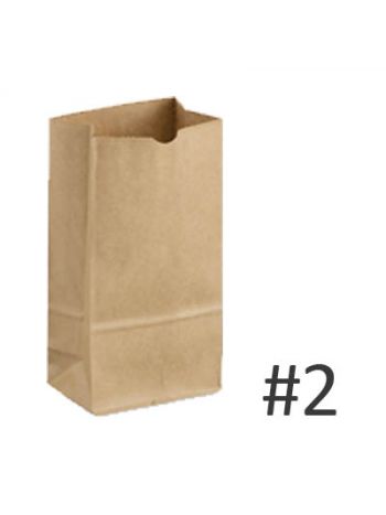 BAGS # 2 BROWN PAPER